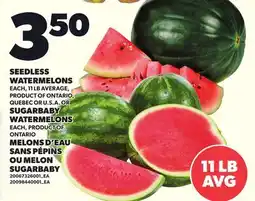 Independent City Market SEEDLESS WATERMELONS, EACH, 11 LB AVERAGE OR SUGARBABY WATERMELONS, EACH offer