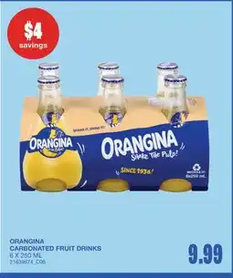 Wholesale Club ORANGINA CARBONATED FRUIT DRINKS offer