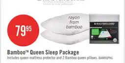 The Brick Masterguard Bamboo Queen Mattress Protector with 2 Queen Pillows offer