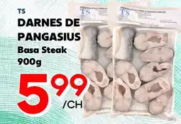 Marche Salaberry TS DARNES DE PANGASIUS offer