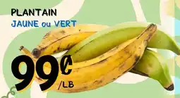 Marche Salaberry PLANTAIN offer