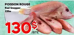 Marche Salaberry POISSON ROUGE offer