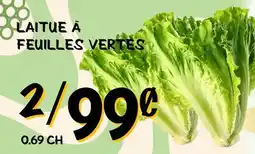 Marche Salaberry LAITUE À FEUILLES VERTES offer