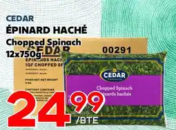 Marche Salaberry CEDAR ÉPINARD HACHÉ offer