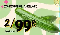 Marche Salaberry CONCOMBRE ANGLAIS offer
