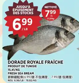 Kim Phat FRESH SEA BREAM offer