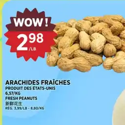 Kim Phat FRESH PEANUTS offer