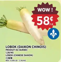Kim Phat LOBOK (DAIKON CHINOIS) offer
