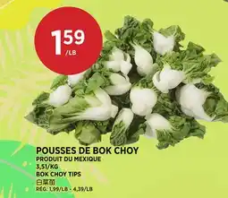 Kim Phat BOK CHOY TIPS offer