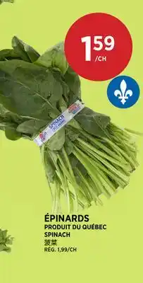 Kim Phat SPINACH offer