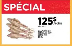 Kim Phat KPF SQUID offer
