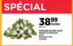 Kim Phat BOK CHOY TIPS offer