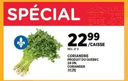 Kim Phat CORIANDER offer
