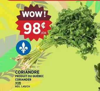 Kim Phat CORIANDER offer