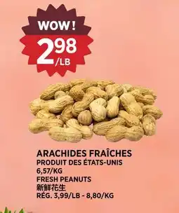 Kim Phat FRESH PEANUTS offer