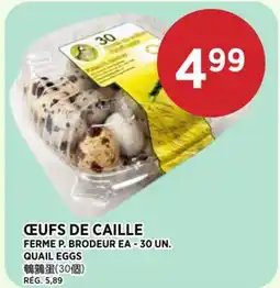 Kim Phat QUAIL EGGS offer
