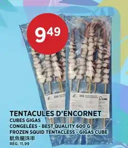 Kim Phat BEST QUALITY FROZEN SQUID TENTACLESS - GIGAS CUBE offer