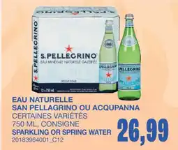 Wholesale Club SPARKLING OR SPRING WATER offer