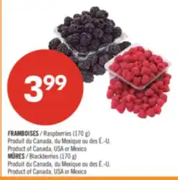 Pharmaprix Raspberries (170 g) Blackberries (170 g) offer