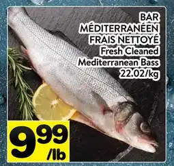 Supermarché PA BAR MÉDITERRANÉEN FRAIS NETTOYÉ offer
