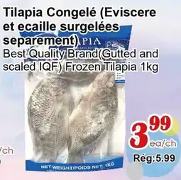 Marche C&T Tilapia Congelé (Eviscère et écaille separément) offer