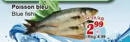 Marche C&T Blue fish offer