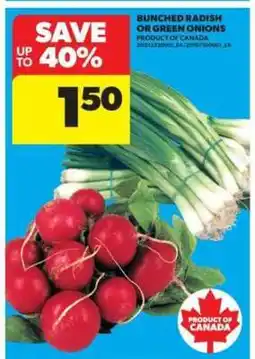 Real Canadian Superstore BUNCHED RADISH or GREEN ONIONS offer