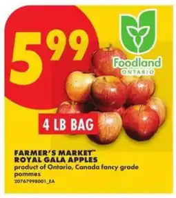 No Frills FARMER'S MARKET ROYAL GALA APPLES offer