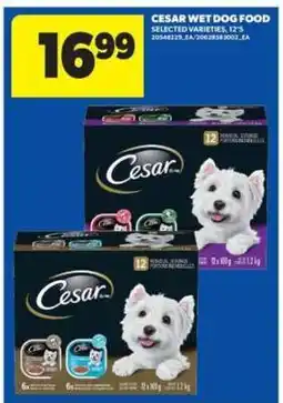 Real Canadian Superstore Cesar Wet Dog Food offer
