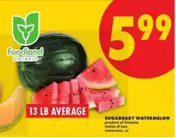 No Frills Sugarbaby Watermelon offer