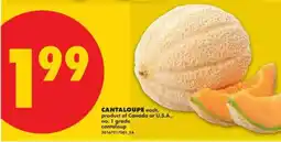 No Frills CANTALOUPE offer