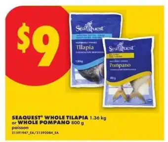 No Frills Seaquest Whole Tilapia or Whole Pompano offer