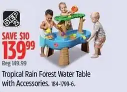 Canadian Tire Tropical Rain Forest Water Table with Accessories offer