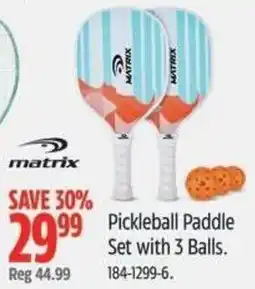 Canadian Tire Pickleball Paddle Set with 3 Balls offer