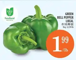 Al Premium Food Mart Green bell pepper offer
