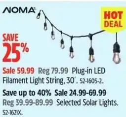 Canadian Tire Plug-in LED Filament Light String, offer