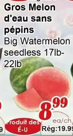 Marche C&T Gros melon d'eau sans pépins offer