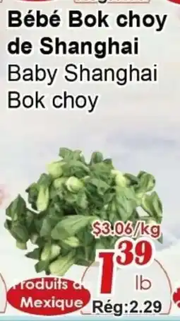 Marche C&T Bébé bok choy de shanghai offer