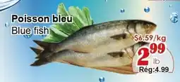 Marche C&T Poisson bleu offer
