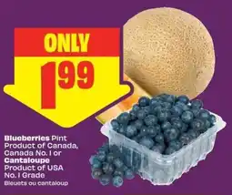 Chalo FreshCo Blueberries pint offer