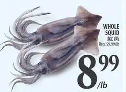 Al Premium Food Mart WHOLE SQUID offer