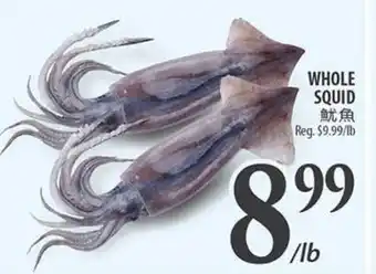 Al Premium Food Mart WHOLE SQUID offer