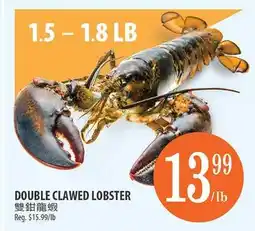 Al Premium Food Mart DOUBLE CLAWED LOBSTER offer