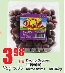 Btrust Supermarket Kyoho Grapes offer