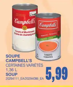 Wholesale Club SOUP offer