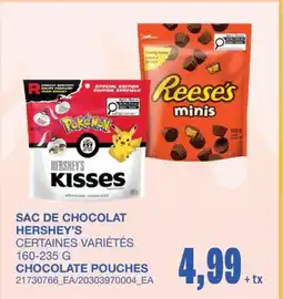 Wholesale Club CHOCOLATE POUCHES offer