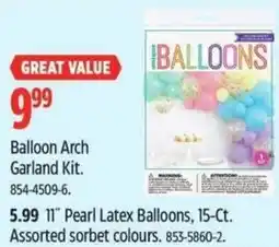 Canadian Tire Balloon Arch Garland Kit offer