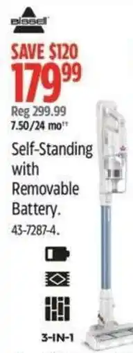 Canadian Tire Self-Standing with Removable Battery offer