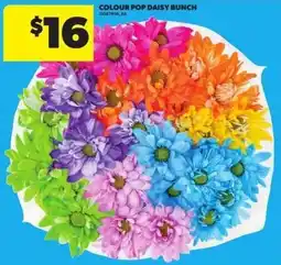 Atlantic Superstore Colour pop daisy bunch offer