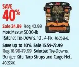Canadian Tire MotoMaster 3000-lb Ratchet Tie-Down offer